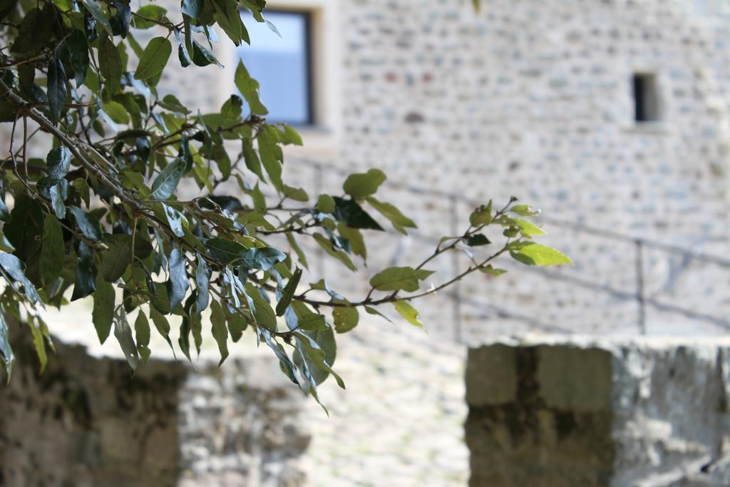 Maison d'hôtes Al Castello Da Annamaria à Beverino Extérieur photo